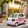 中国マイクロEV『小馬』10万台を販売した「かわいいペット」戦略