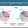 Z世代の初マイカー選び、都内は「車両価格」地方は「車検代」が最大の不安要素に…KINTO調査 画像