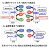 マクセルが全固体電池の長寿命化に向け容量劣化メカニズムを解明