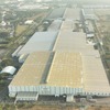 ルノー日産オートモーティブインディア