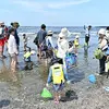 ホンダアクセス子育て応援隊　海の自然体験イベント