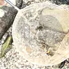 ホンダアクセス子育て応援隊　海の自然体験イベント