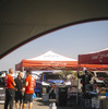 W2RC『SOUTH AFRICAN SAFARI RALLY』