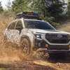スバル フォレスター 新型、日本にない「ウィルダネス」は約570万円から…今秋米国発売へ