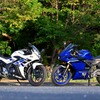 スズキ GSX250R(左)とヤマハ YZF-R25(右)