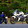 ヤマハ YZF-R25（左）とスズキ GSX250R（右）