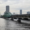 旧晴海鉄道橋（豊洲側から晴海側を望む）