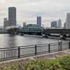 旧晴海鉄道橋（豊洲側から晴海側を望む）と春海橋公園（豊洲側）