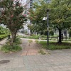 専用線のレールが埋め込まれた歩道。場所と位置は当時を再現したという（豊洲3丁目）