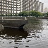 豊洲3丁目と塩浜1丁目の間、豊洲運河に残る専用線の橋脚（豊洲側から塩浜がを望む）