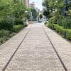 レールが埋め込まれた歩道。レールの間隔や場所は現役当時と異なる（豊洲3丁目）