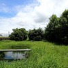 横浜ゴムの三重と尾道工場、国の「自然共生サイト」に認定…生物多様性保全活動が評価