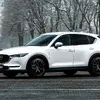 レイズ RSS RS 2×7FT × MAZDA CX-5
