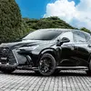 レイズ RSS RS 2×7FT × LEXUS NX