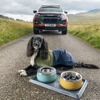 いすゞ『D-Max』で愛犬とアウトドアを楽しむ、公式アクセサリー英国発表…「Ruffwear」とコラボ