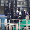 日本通運、全国フォークリフト運転競技大会で一般・女性両部門制覇 画像