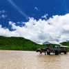 ジョルダン、沖縄・由布島の水牛車定期便のオンライン予約サービス開始 画像