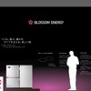 Blossom Energy ブースイメージ