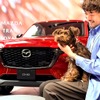 「MAZDA TRANS AOYAMA」、週末限定ドッグカフェ開催へ…11月16日から 画像