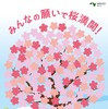 桜メッセージボード