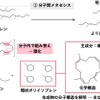 メタセシス化学分解の反応経路