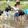 自動車業界向けにインドネシア特定技能人材の紹介を行うアプティグローバルが米づくりを開始