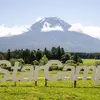 スターキャンプ2026 in 朝霧高原