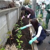 植樹の様子（中原工場）