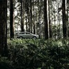 Q7