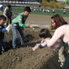 種まきボランティア参加親子が種まきをする様子