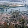 東洋大橋