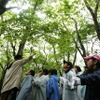 森林教室の様子