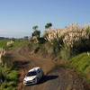 【WRCニュージーランドラリー】スバル、ソルベルグが今季初の表彰台