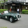 女性ドライバーが駆るジャガーXK120