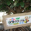 タイのマングローブ植樹を体験