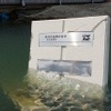 東日本大震災 港湾部では液状化による被害も発生か