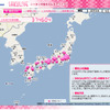 桜の開花状況をリアルタイムでマップ化したサイトを開設