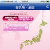 桜の開花状況をリアルタイムでマップ化したサイトを開設