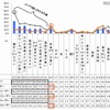 現在使っているスマートフォンの不満な点 現在使っているスマートフォンの不満な点