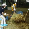 南海電鉄、飼育員や獣医の手伝い体験ができる「動物園サマースクール」 動物園スタッフの仕事体験イメージ