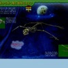 夜の森で木から木へ飛ぶ動物なあに?