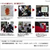 サケの誕生物語と生命の設計図のひみつ