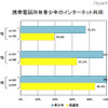 携帯電話所有青少年のインターネット利用