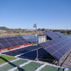 三井住友建設、太陽光発電の施設園芸への利用実証試験