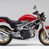 ホンダ VTR（キャンディーブレイジングレッド）