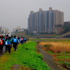 鶴見川左岸を歩く。右岸は高台でマンション群などが、左岸は平地でクルマ関連の工場や古い家屋が並ぶ