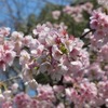 上野公園