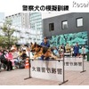 警察犬の模擬訓練（昨年の様子）