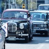 東京・品川に集結したダットサンなどの旧車45台。午後には街をパレード走行した。