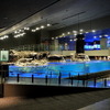 初めて公開されたすみだ水族館の館内